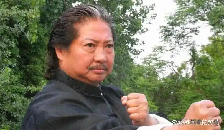 洪金宝对新人演员的扶持与培养_洪金宝签约公司_洪金宝新徒弟