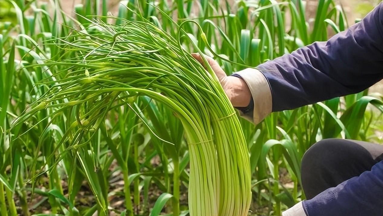 胖东来超市生鲜管理_高标准检测，胖东来确保优质生鲜_胖东来超市每天生鲜的日流程