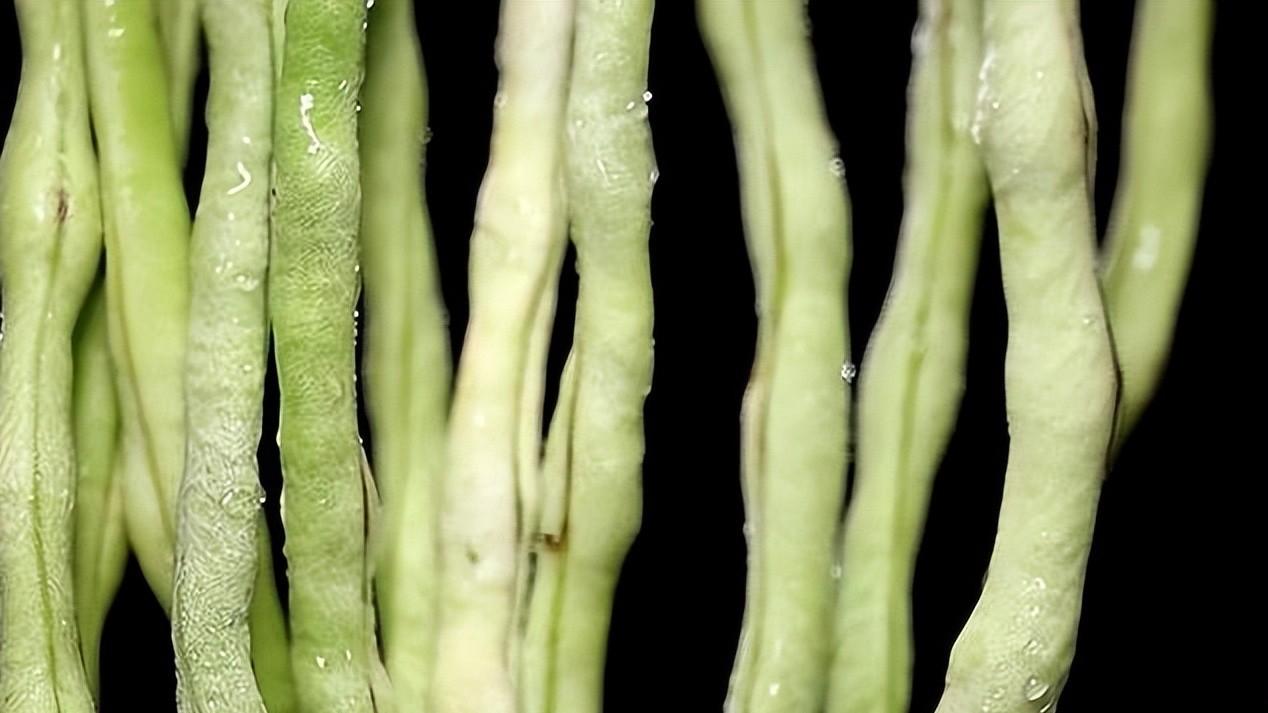 胖东来超市每天生鲜的日流程_高标准检测，胖东来确保优质生鲜_胖东来超市生鲜管理