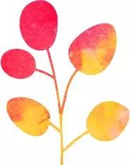 聚氨酯结构对性能的影响_聚氨酯材料的进步：TPU研究的影响_聚氨酯的研究进展