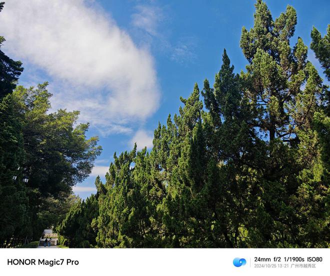 华为亮点功能介绍页面_华为亮点_荣耀的Magic UI：用户体验与功能亮点