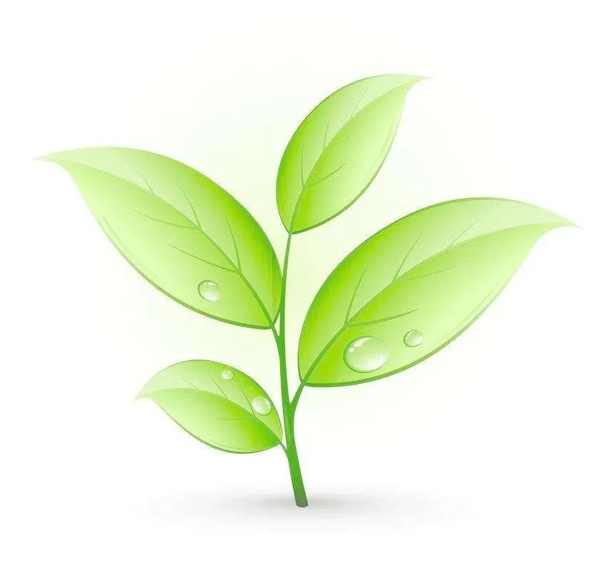 决策趋势投资市场黄峥pdf_决策趋势投资市场黄峥论文_黄峥的投资决策与市场趋势