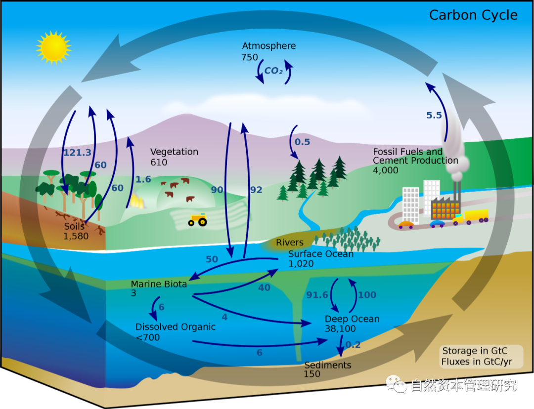 数字货币价值衡量_评估数字货币的可持续性与生态影响_数字货币生态系统