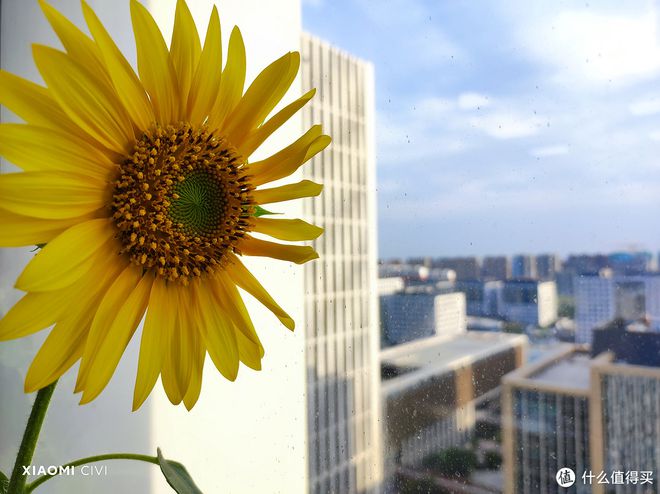 追求性价比：用户为何选择小米手机？_小米追求性价比_小米性价追求手机用户选择哪个