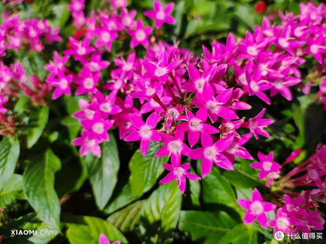 追求性价比：用户为何选择小米手机？_小米追求性价比_小米性价追求手机用户选择哪个