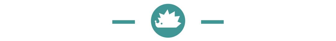 小米汽车配置_小米汽车你敢开吗_从用户反馈看小米汽车的性能提升