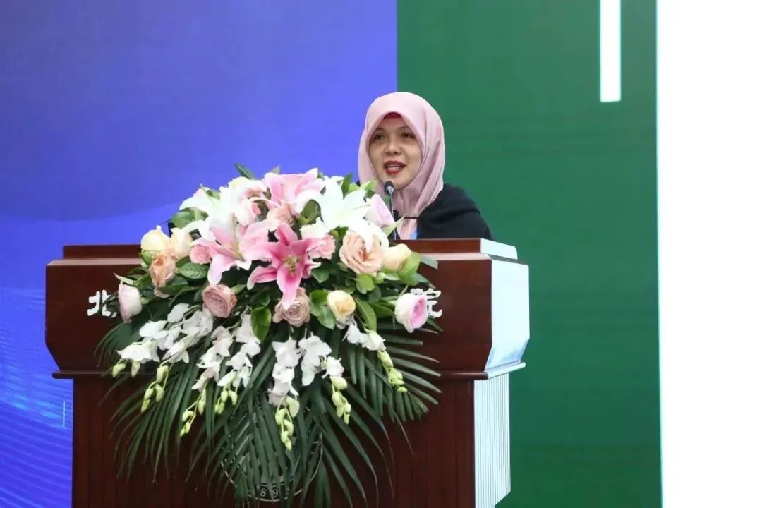 研究数字资产在气候变化中的创新解决方案：推动绿色项目的实践_绿色资产定义_绿色资产证券化现状