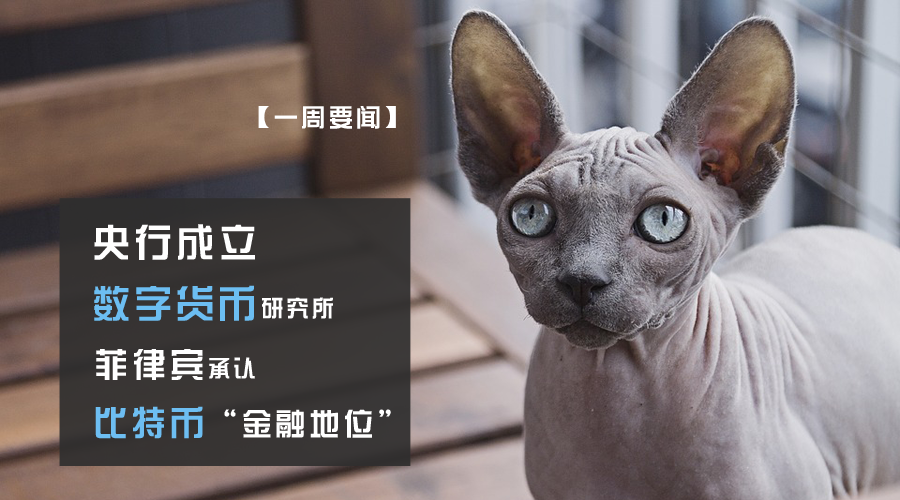 慈善币链接_区块链在公益慈善领域应用_虚拟货币在慈善事业中的应用：如何利用区块链技术提升透明度与信任