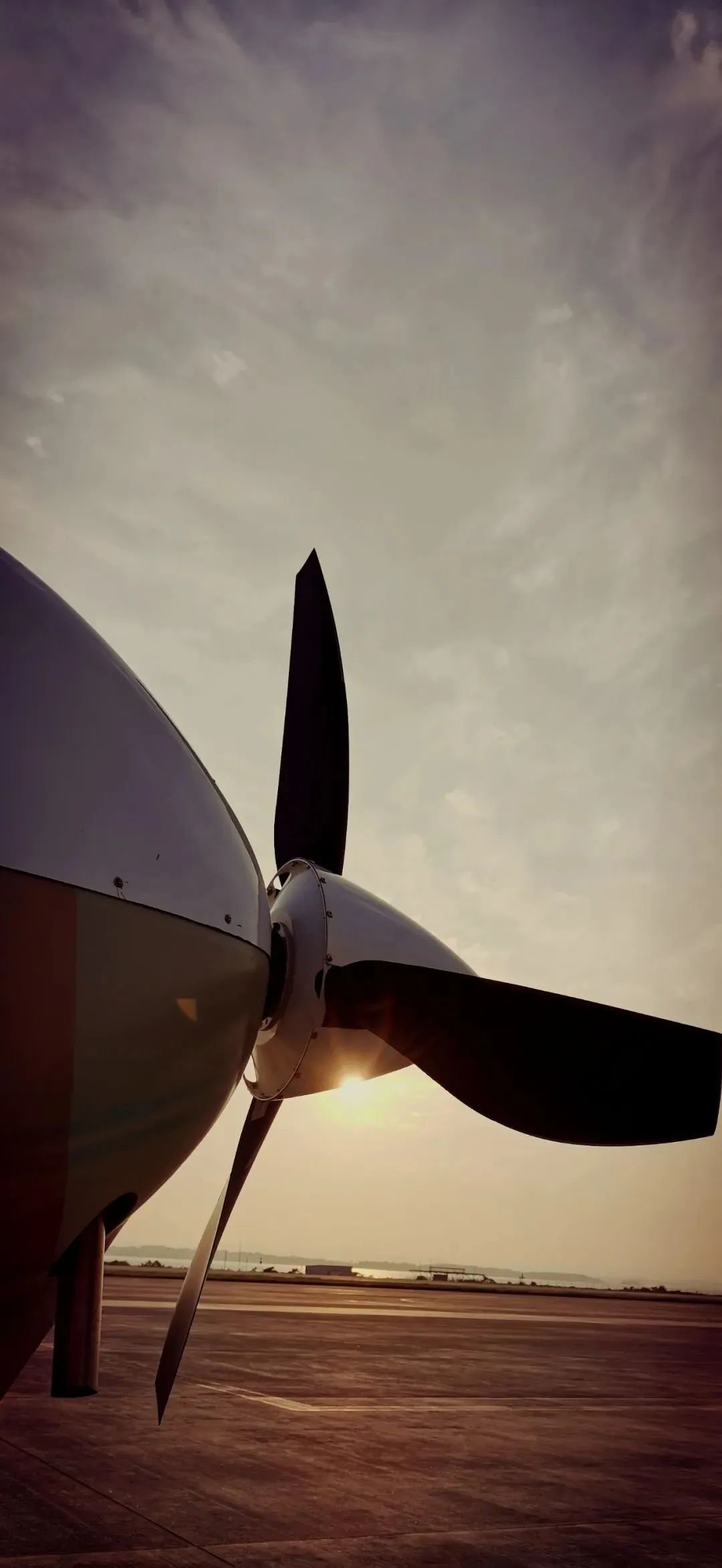 无人机运5_TP1000无人运输机首飞成功,揭开无人机应用新篇章_无人机航飞