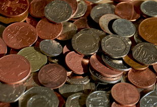 航天级器件环境适应性要求_下列属于生物对环境适应的是_USDT在全球金融环境中的适应性