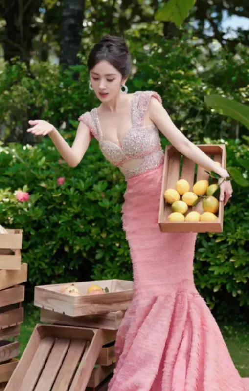 杨幂励志语录关于努力_杨幂励志故事1000字左右_杨幂的励志故事与奋斗精神