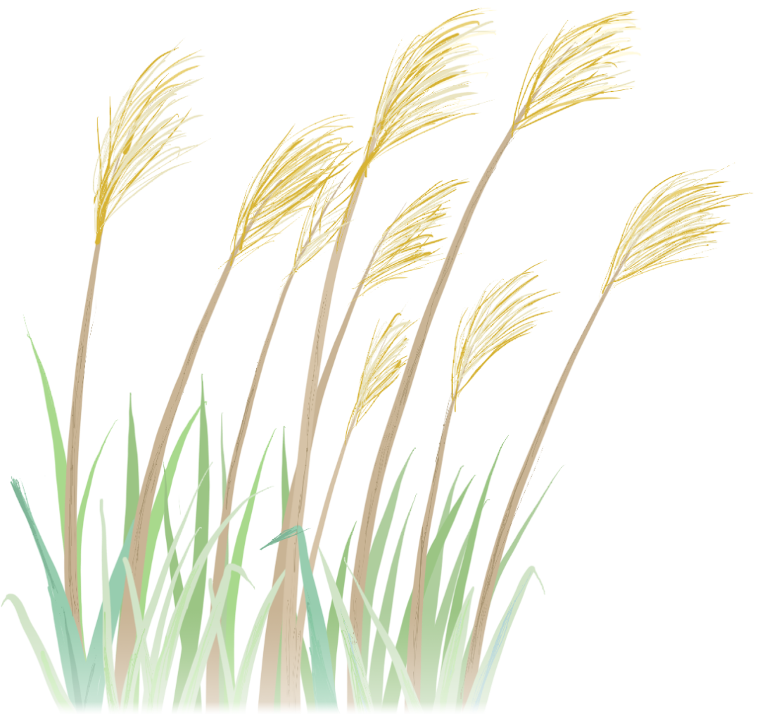 中心化的自治组织_自主组织治理_如何参与DAO（去中心化自治组织）